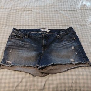 Torrid Size 20 Women's shorts